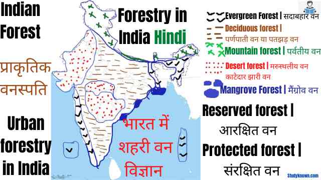 Forestry in India