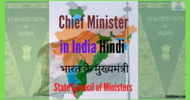 Chief Minister in India