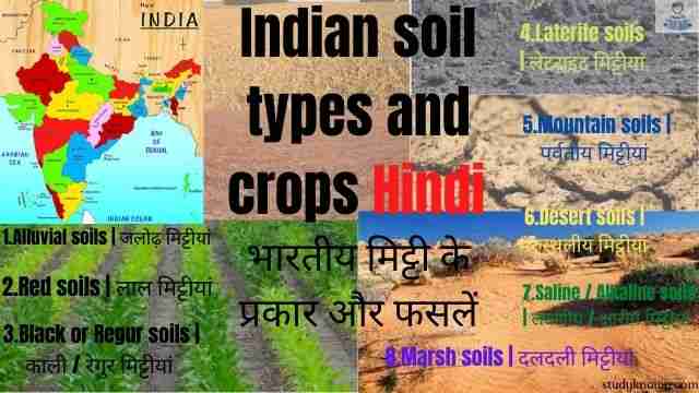 Indian soil types and crops